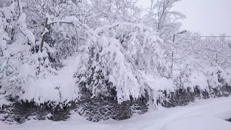 Genzet Sétif neige