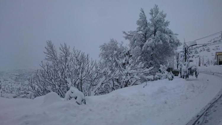 Genzet en neige