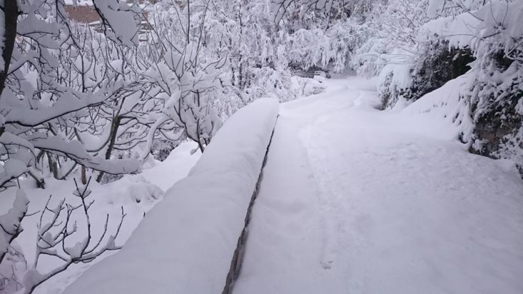 Guenzet à Sétif en neige
