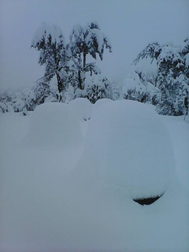 Ruches d’abeilles couvertes de neige en Algérie 2017