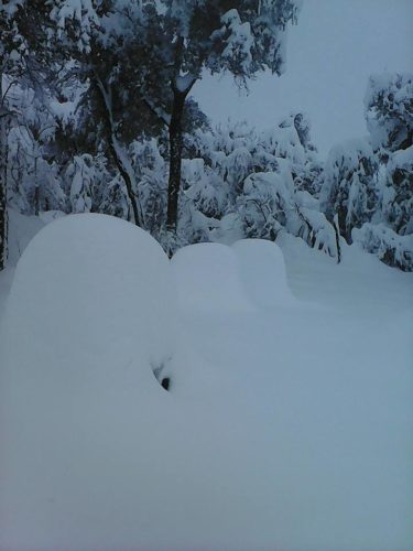Ruches d’abeilles couvertes de neige en Algérie