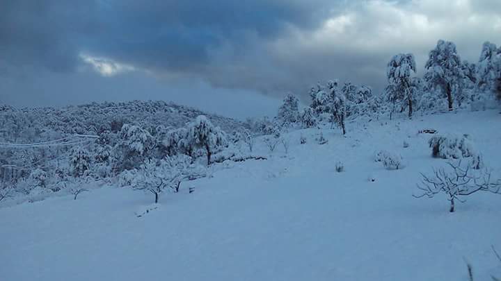 Yakouren en neige