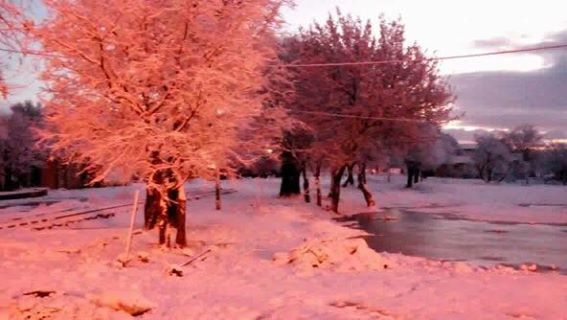 la neige dans la commune de Berrouaghia