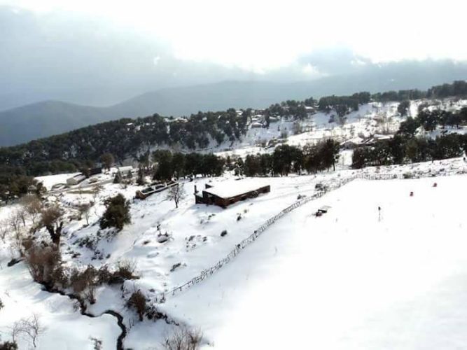 la neige à Seraïdi annaba