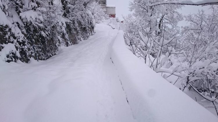 neige Genzet 2017