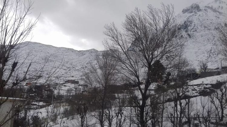 neige à Kefrida Bejaia