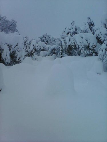 rucher en neige