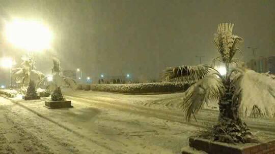 Djelfa en neige