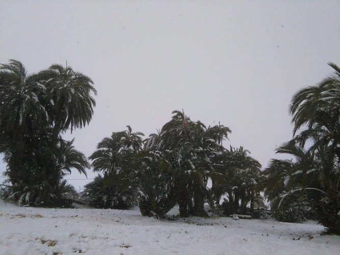 El Abiodh Sidi Cheikh en neige