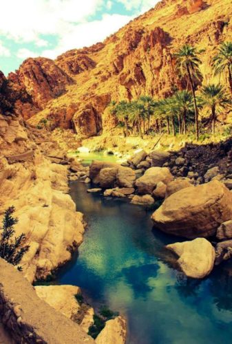 Oasis M'Chounèche sud algérien