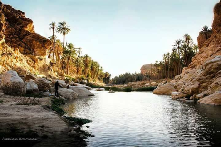 Oasis M'Chounèche biskra algérie