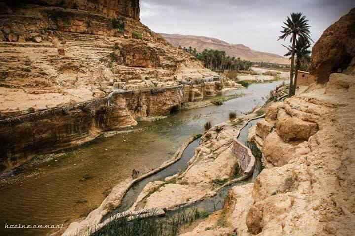 Oasis M'Chounèche biskra