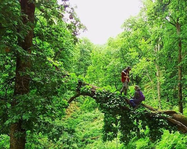 la nature sauvage de Seraïdi