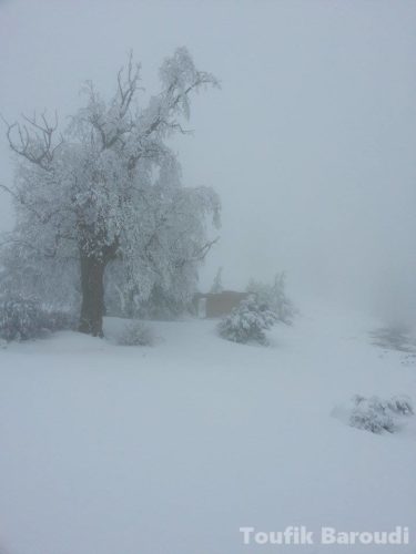 Montagnes de Nafla batna