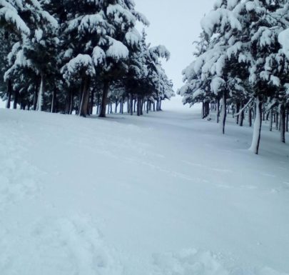 Berrouaghia en neige