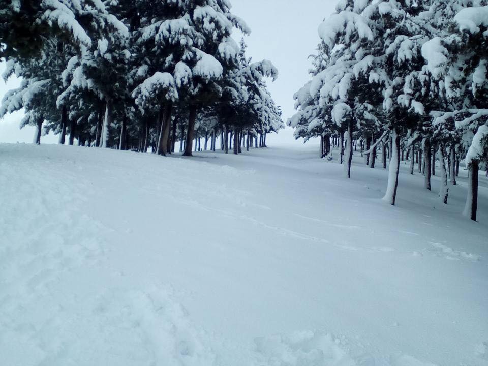 Berrouaghia en neige