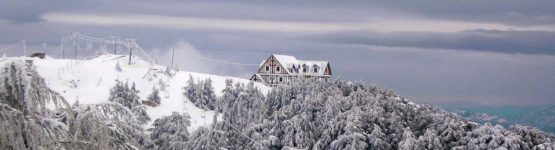 Chréa en neige