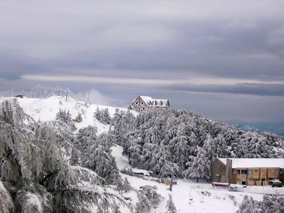 Chréa en neige