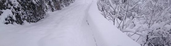 neige Genzet 2017