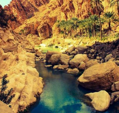 Oasis M'Chounèche sud algérien