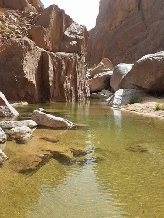 Idles tamanrasset