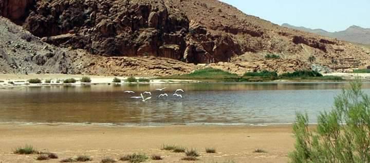 cuvette Aïn Ouarka